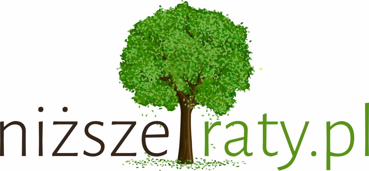 Kredyty firmowe na oświadczenie, BEZ dokumentów finansowych