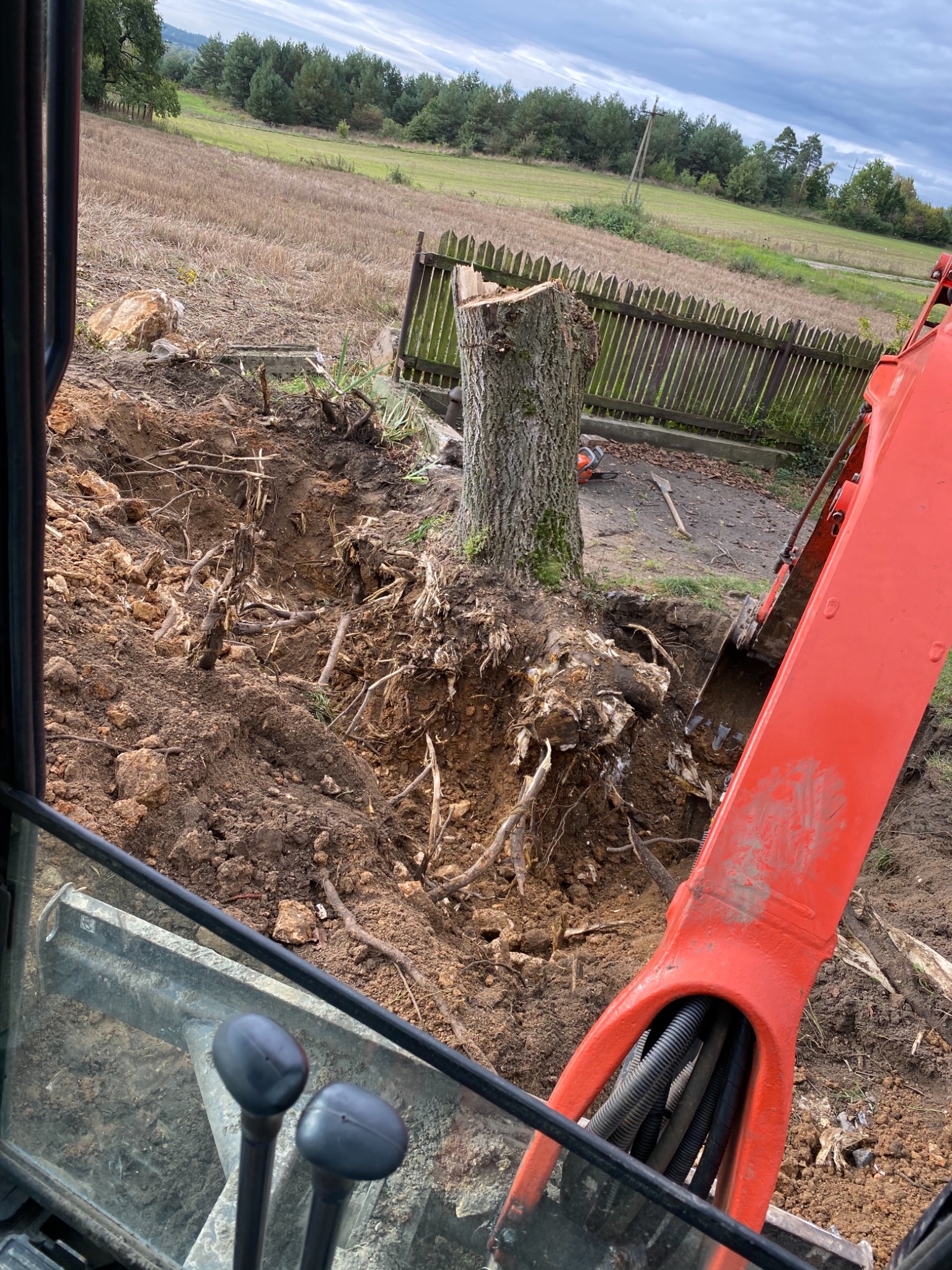 Wyrywanie korzeni! Żaden problem!