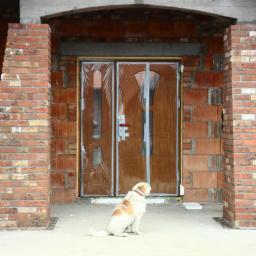 Klinkier bojs Szczecin 4