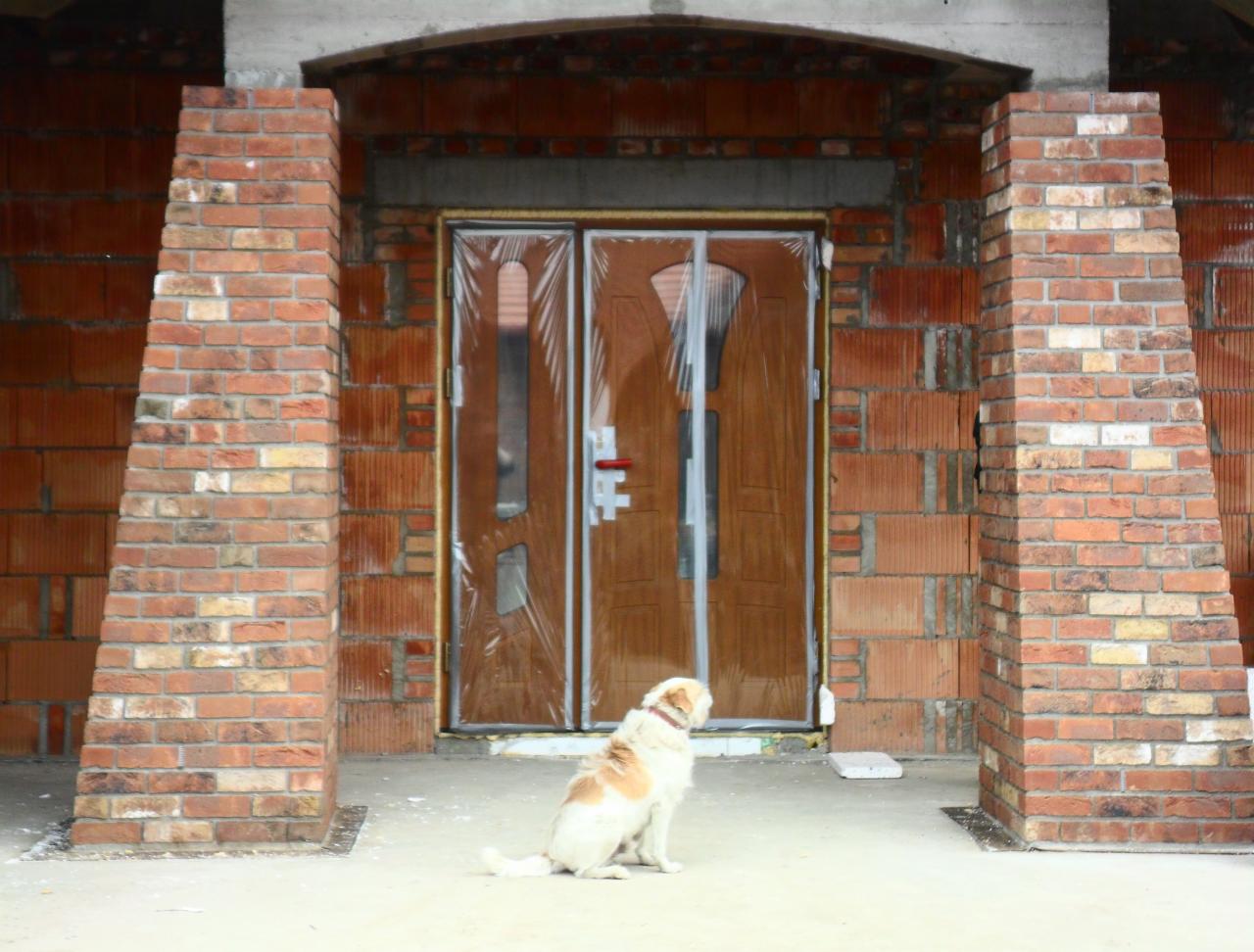 Nowa, brązowa brama wejściowa, zabezpieczona folią, otoczona ceglanymi filarami. Pies siedzi przed wejściem. Budynek w trakcie budowy.