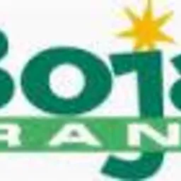 Logo firmy Boja Trans w odcieniach zieleni z żółtą gwiazdą. Nazwa firmy umieszczona na białym tle, z wyraźnym fontem i czytelnością.