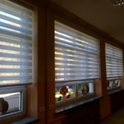 Zamontowane w Tomaszowie Mazowieckim, poziome przesłony okienne typu dzień i noc w sali przedszkolnej, z naklejkami zwierząt na szybach.