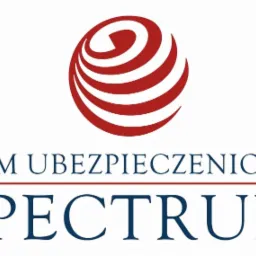 Gwarancje Ubezpieczeniowe dla Firm Startujących w Przetargach