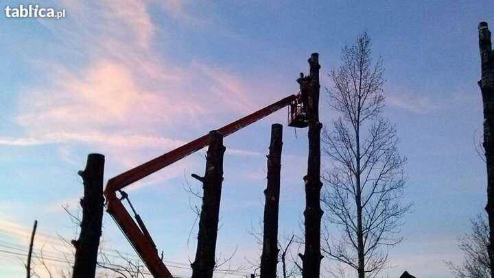 koszenie i pielegnacja zielencow