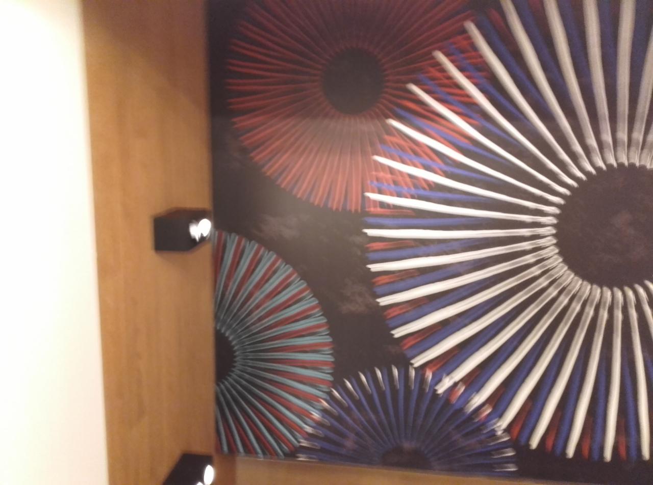 Abstrakcyjna grafika na ścianie z motywem rozet w kolorach czerwonym, białym i niebieskim, oświetlona dwoma punktowymi lampami.