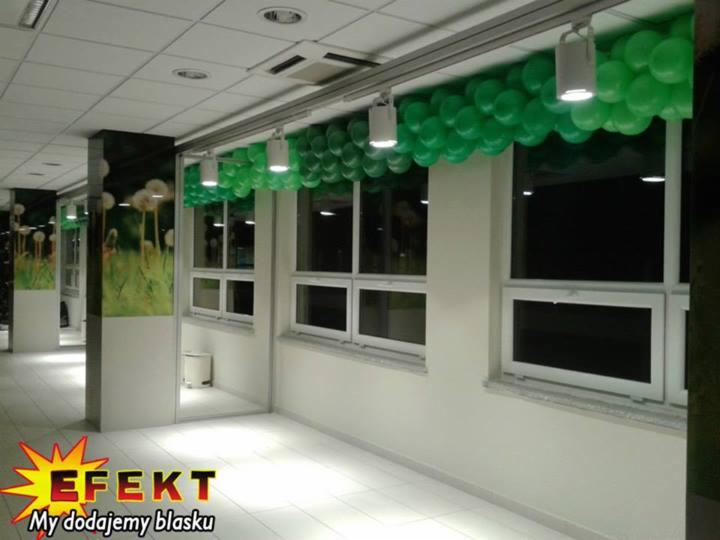 Dekoracja sali zielonymi balonami w Bytomiu, podwieszona pod sufitem, oświetlona lampami. Widoczne okna i kolumny z grafiką. Efektowna aranżacja.