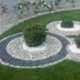 Ogród z trzema okrągłymi rabatami wysypanymi białym i szarym żwirem, z centralnie umieszczonymi kulistymi krzewami, otoczony równo przystrzyżonym trawnikiem.