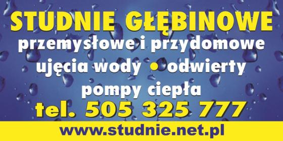 Studnie głębinowe odwierty pompy ciepła woda - Studnie głębinowe Kalisz
