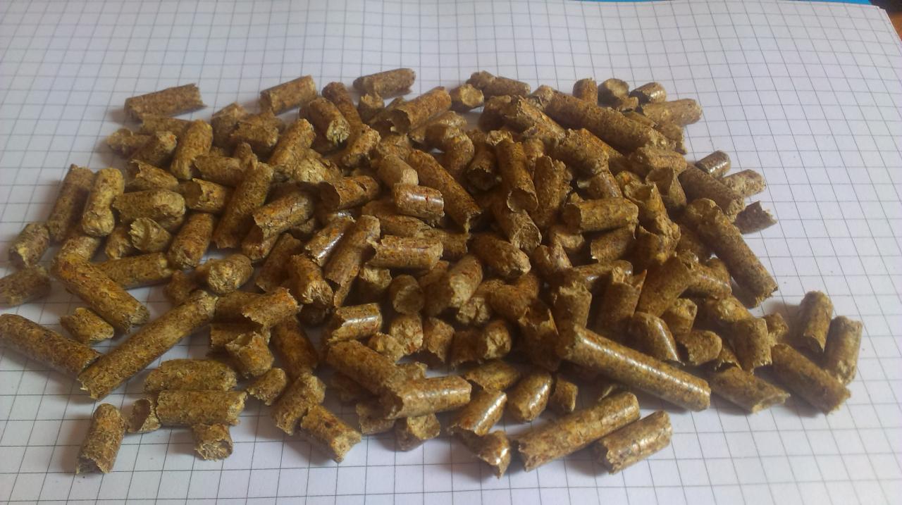 Jasnobrązowy pellet drzewny ułożony na białym papierze w kratkę. Widoczne detale struktury pelletu i jego cylindryczny kształt. Delikatne oświetlenie.