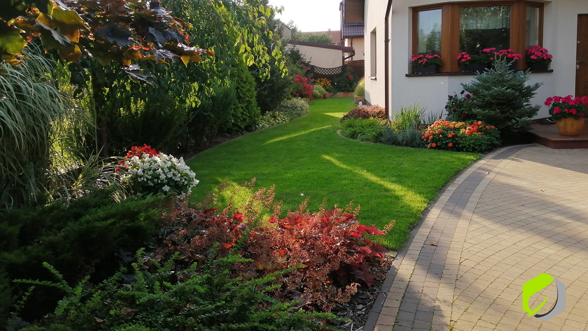 Zadbany ogród przydomowy z równo przystrzyżonym trawnikiem, ozdobnymi krzewami i kwiatami w donicach przy wejściu do domu.