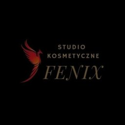 Studio kosmetyczne FENIX - OC na Samochód Lębork