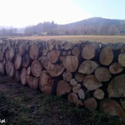 Stos pociętych klocków drewna ułożonych w pryzmę na tle łąki i wzgórz w oddali.