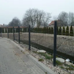 Ciemna siatka ogrodzeniowa na betonowej podmurówce, oddzielająca chodnik od terenu zielonego z tujami w tle, w pochmurny dzień.