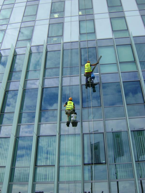 Dwóch alpinistów w żółtych kamizelkach myje okna na wysokościowcu z licznymi szklanymi panelami. Widok z dołu na fasadę budynku.