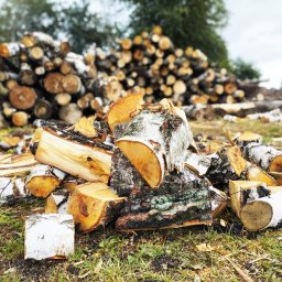 sprzedaż drewna opałowego od 300 zł/ MP