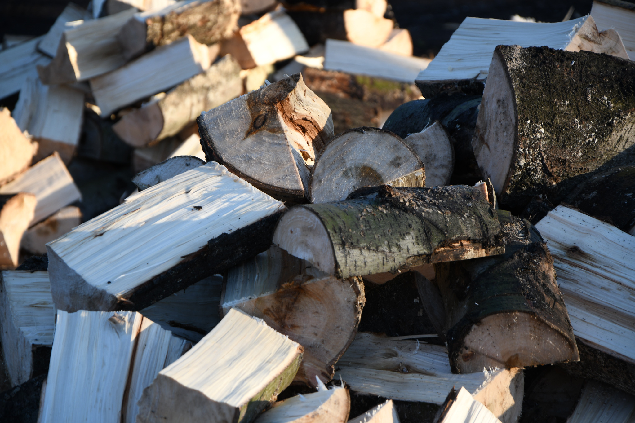 Stos pociętego drewna opałowego z widocznymi słojami, kora na niektórych kawałkach, oświetlone z boku, tworzące kontrast cieni.
