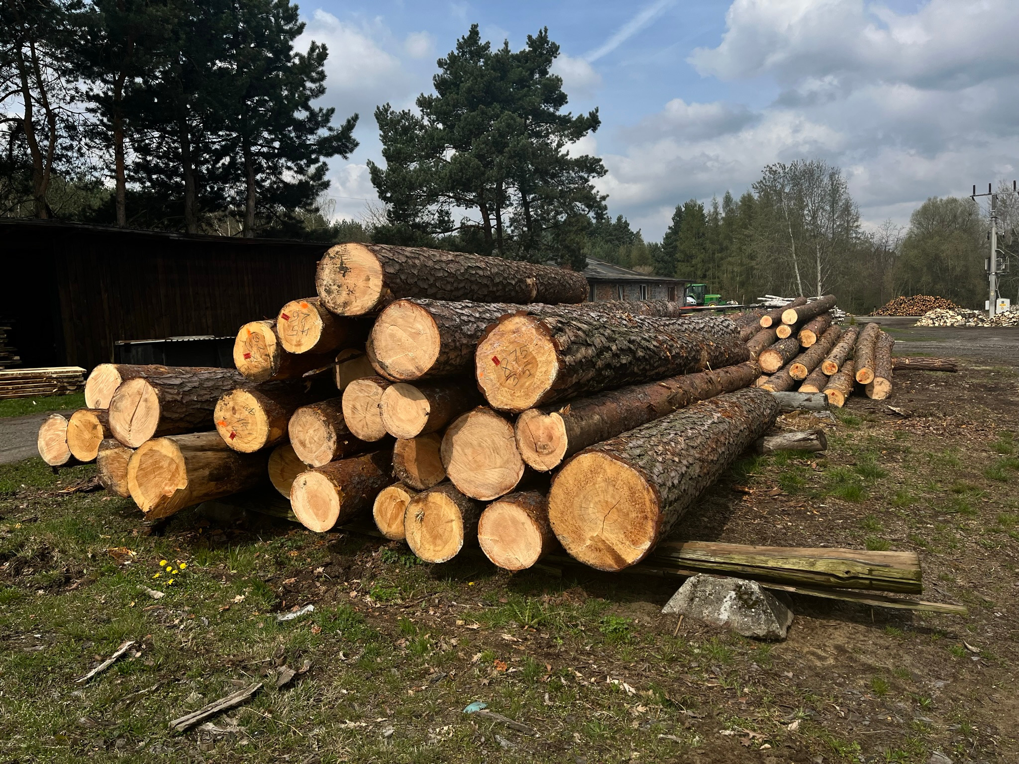 Stos okrąglaków z drewna iglastego ułożonych na ziemi, widoczne oznaczenia na końcach, w tle budynek gospodarczy i drzewa.