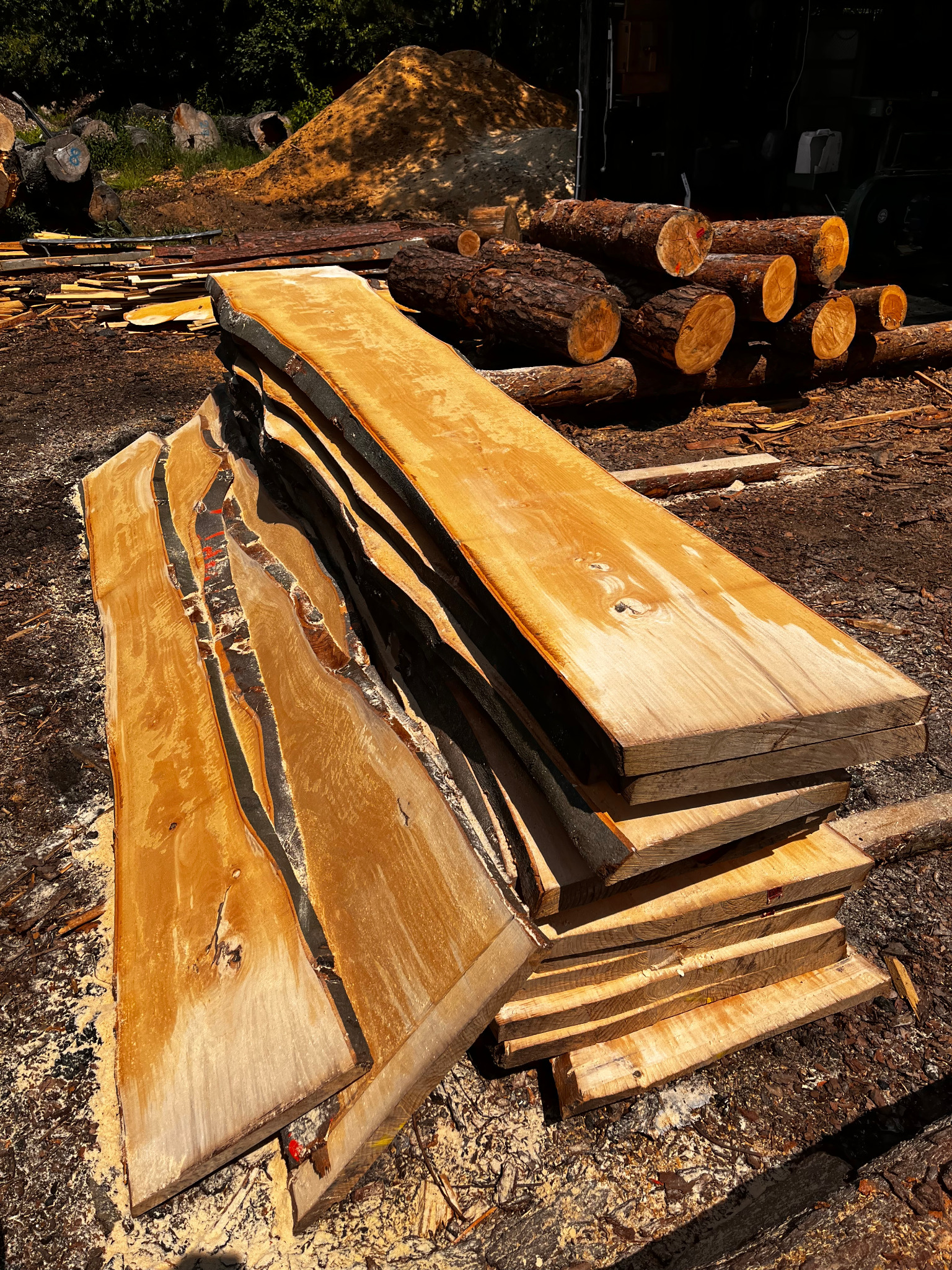 Stos tarcicy z surowymi krawędziami, ułożony na ziemi pokrytej trocinami, w tle sterta kłód i pryzma ziemi.
