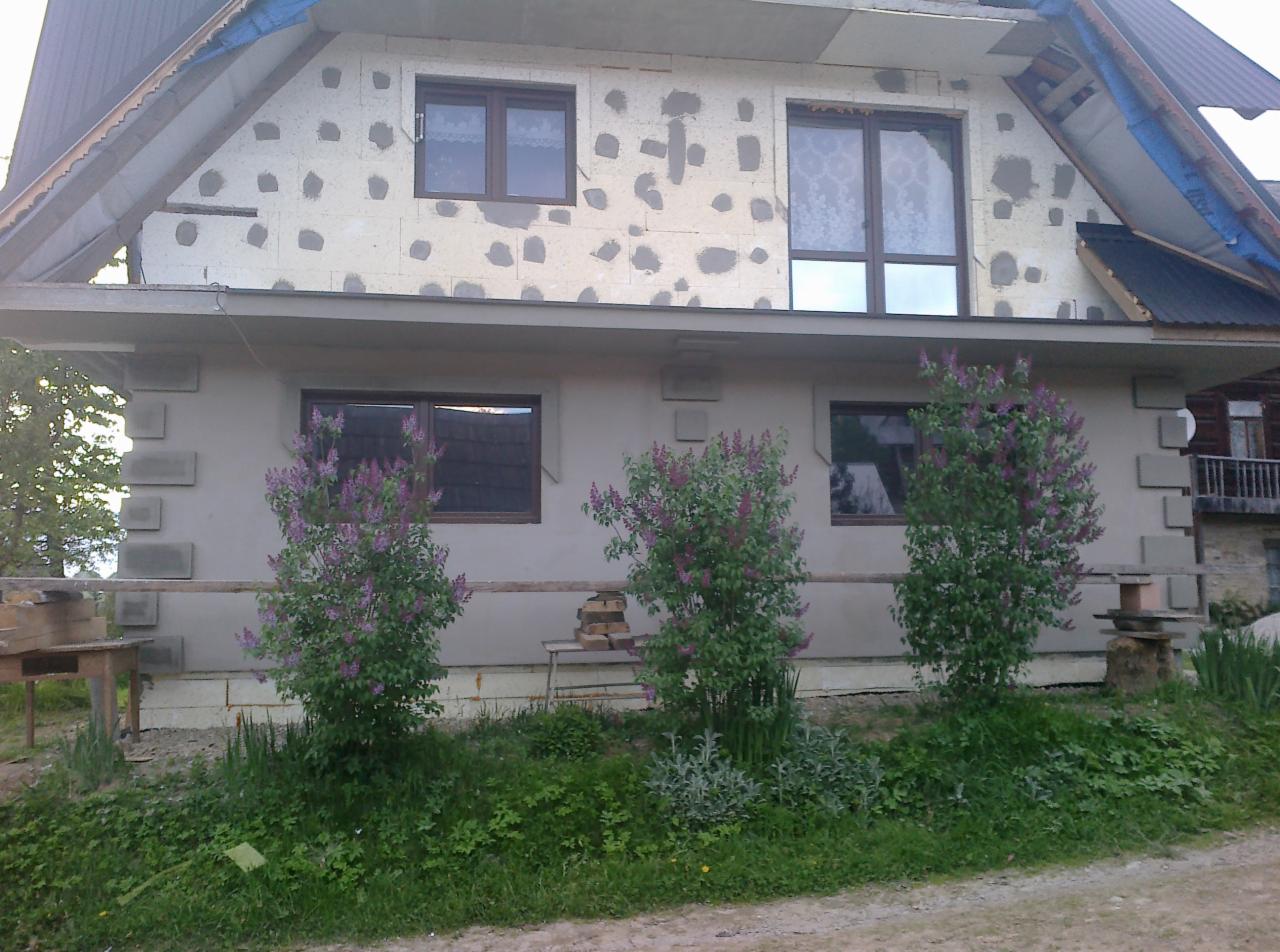 Dom z ocieploną elewacją, widoczne fragmenty styropianu przed tynkowaniem. W tle sąsiedni budynek. Na pierwszym planie krzewy bzu.