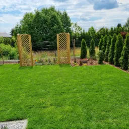 Zadbany trawnik z regularnie przystrzyżoną trawą, obrzeża wyłożone korą i kamieniami, drewniane kratki ogrodowe oraz rząd tuj w tle.