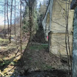 Widok na stary, betonowy wiadukt z rzeki, otoczony drzewami bez liści i zielenią, z widocznym graffiti na jednym z filar&oacute;w.