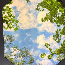 MAT-POL - Sufit napinany z fotorealistycznym nadrukiem nieba z chmurami i gałęziami drzew, widok z dołu, fragment białej koszulki w rogu.