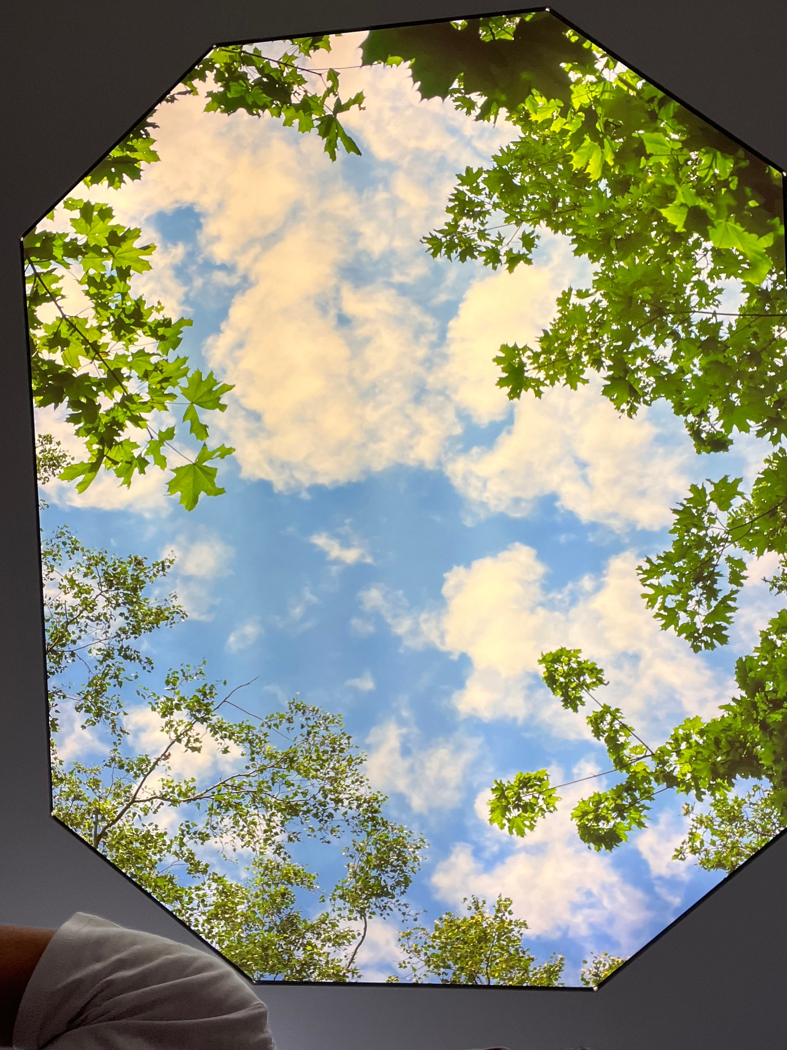 Sufit napinany z fotorealistycznym nadrukiem nieba z chmurami i gałęziami drzew, widok z dołu, fragment białej koszulki w rogu.