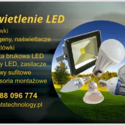 Różne typy oświetlenia LED: żarówki, halogeny, naświetlacze, kostka brukowa LED, taśmy LED, oprawy sufitowe i akcesoria montażowe na tle zieleni i błękitnego nieba.