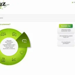 profesjonalne sklepy internetowe