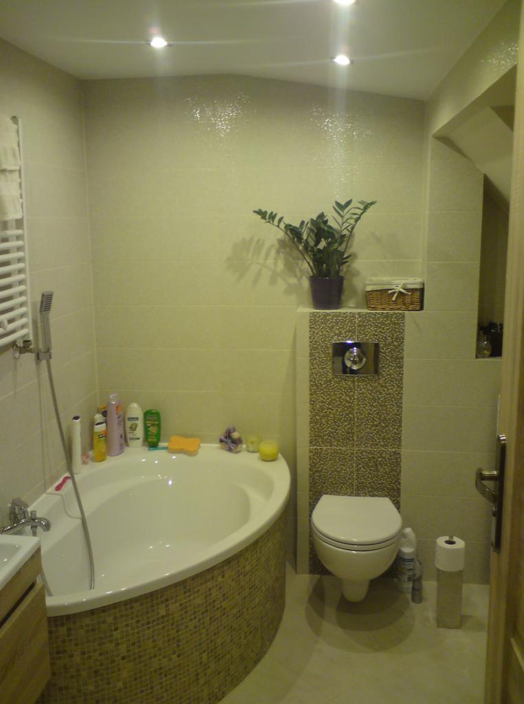 Jasna łazienka po remoncie z mozaiką na obudowie wanny i ścianie za toaletą. Na ścianie roślina w doniczce. Widoczne akcesoria łazienkowe i oświetlenie.