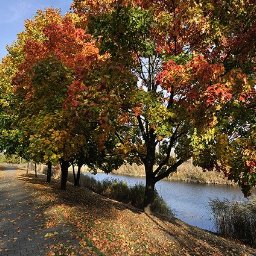 Sprzedaż apartamentów Bartycka
Barbara Bilnik
Dominor Nieruchomości