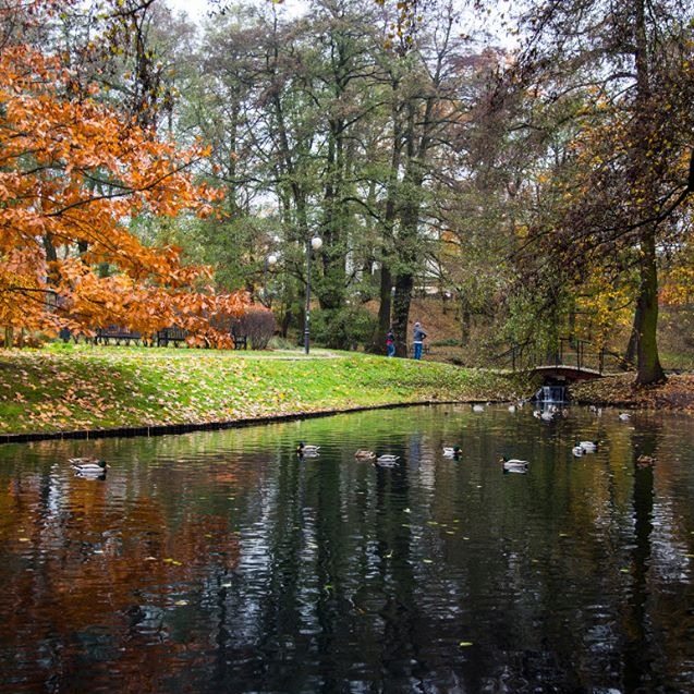 Sprzedaż apartamentów na Bielanach Barbar Bilnik Dominor Nieruchomości