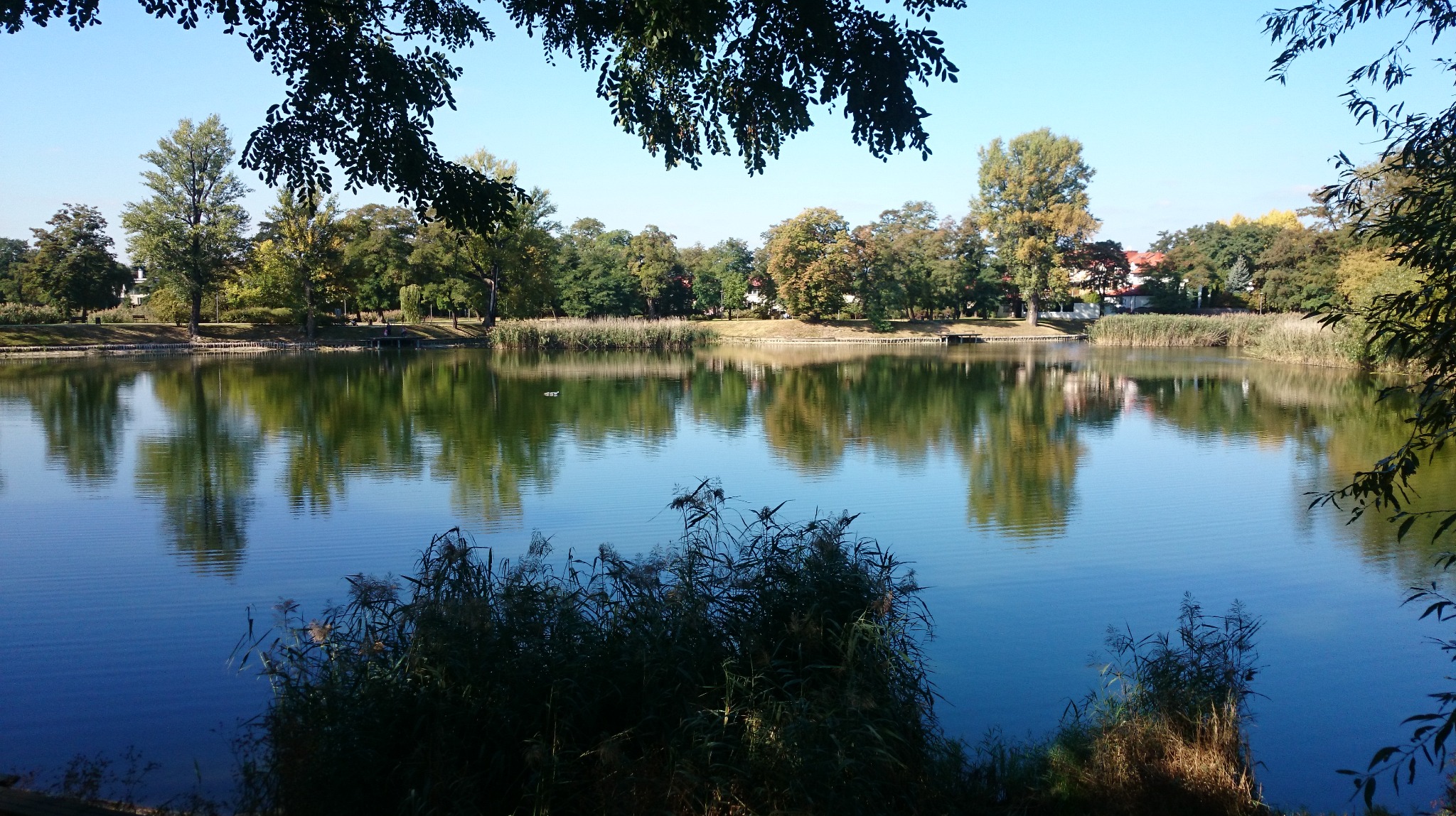 Sprzedaż dom jednorodzinnych Włochy Barbara Bilnik Dominor Nieruchomości