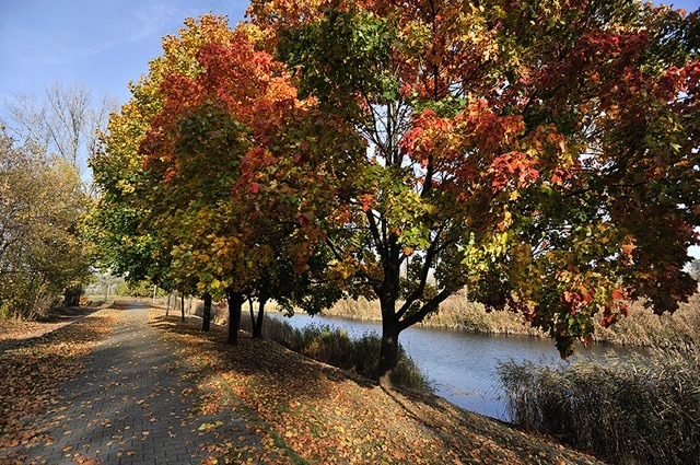 Sprzedaż apartamentów Bartycka Barbara Bilnik Dominor Nieruchomości