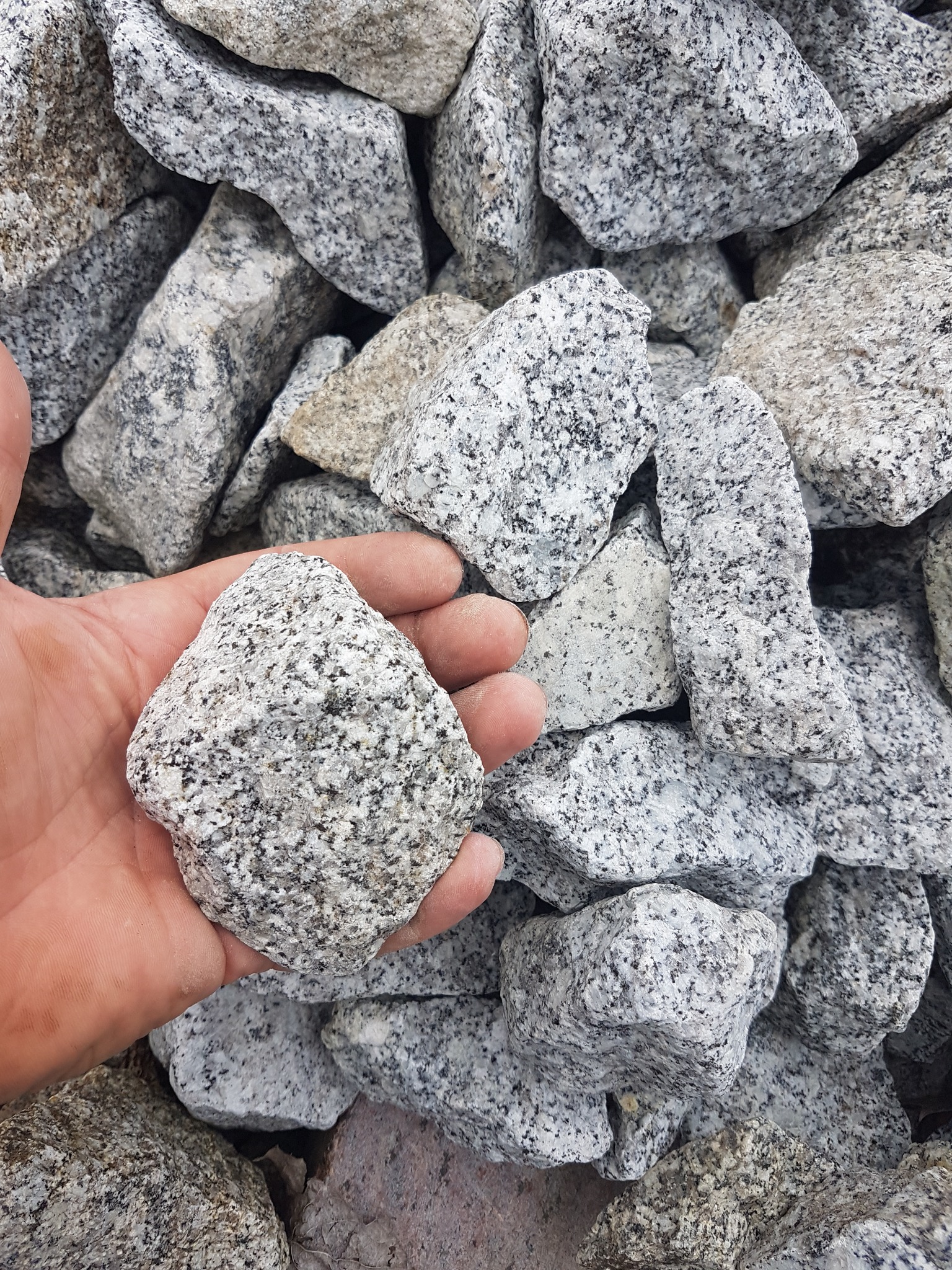 Dłoń trzyma bryłę szarego kamienia o wyraźnej, nakrapianej strukturze na tle stosu podobnych kamieni.