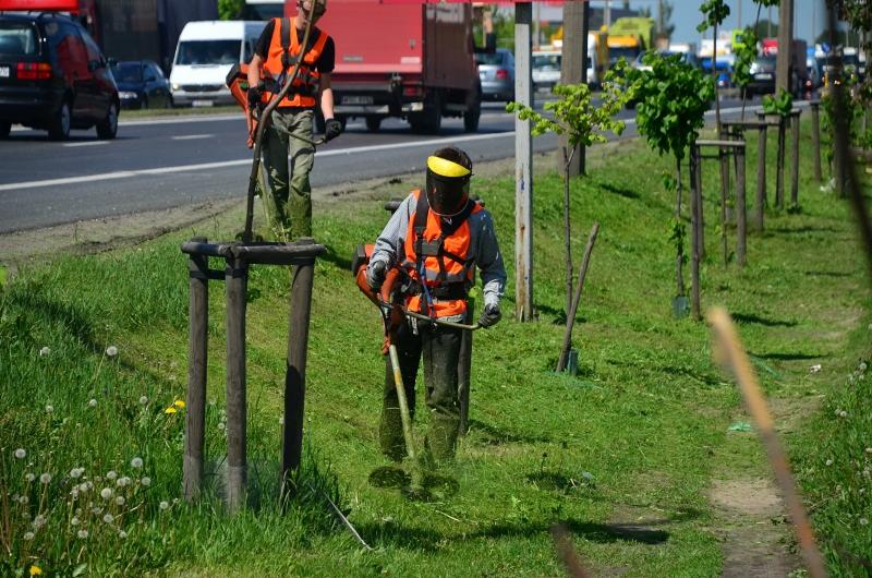 Dwaj mężczyźni w kamizelkach odblaskowych koszą trawę przy ulicy za pomocą kos spalinowych. W tle widać ruch uliczny i drzewa.