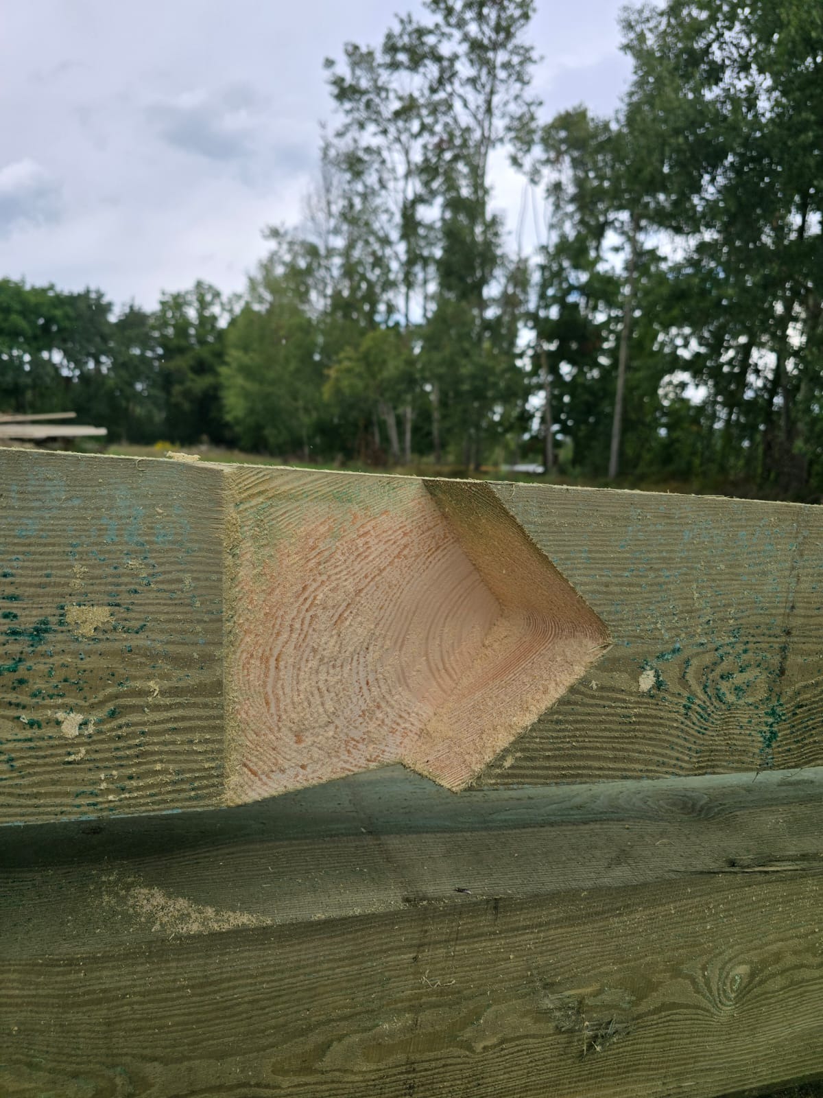 Obróbka drewna: zielonkawa belka z wyciętym fragmentem w kształcie litery V, ukazująca strukturę drewna. W tle zieleń drzew i pochmurne niebo.