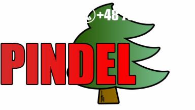 Grafika z napisem 'PINDEL' na tle stylizowanej choinki i numeru telefonu, prawdopodobnie logo firmy.