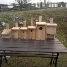 Rząd surowych, drewnianych budek dla ptaków o różnej wielkości i konstrukcji, ustawionych na ciemnym stole na zewnątrz, z widocznym w tle białym płotem i trawnikiem pokrytym resztkami śniegu.