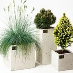 Kompozycja trzech betonowych donic o różnych kształtach i rozmiarach, w których rosną: trawa ozdobna, mały krzew iglasty i miniaturowe drzewko iglaste, ustawione na białym tle.
