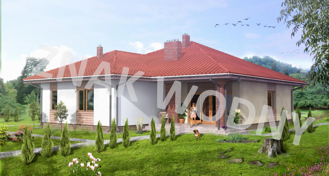 Wizualizacja parterowego domu z czerwoną dachówką, widok z ogrodu. Na werandzie stoi kobieta z psem. Elementy dekoracyjne z cegły klinkierowej.