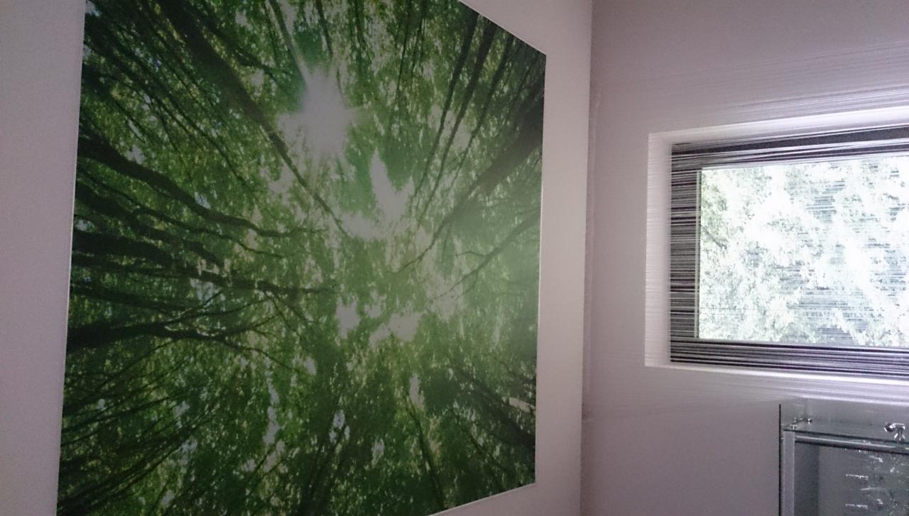 Ściana z fototapetą leśną w jasnym wnętrzu, obok okno z żaluzjami. Widok z dołu na korony drzew. Realizacja z dbałością o detale.