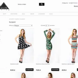 Realizacja sklepu internetowego Mokujin
