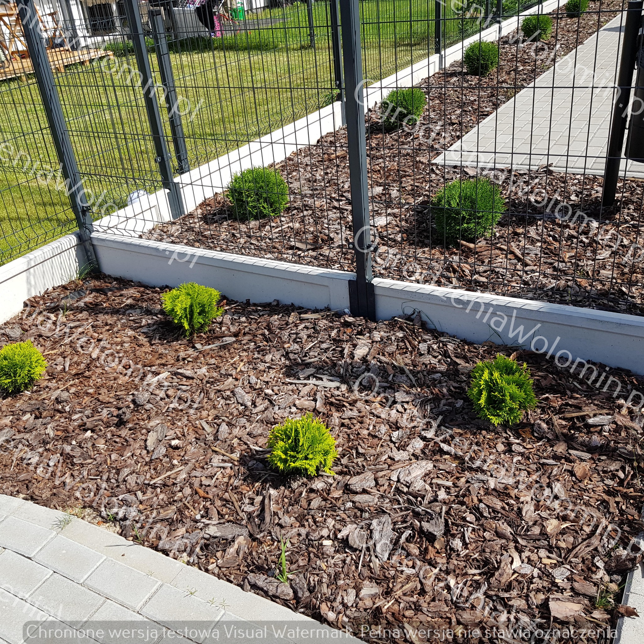 Nowoczesne ogrodzenie panelowe w kolorze grafitowym, z podmurówką betonową i nasadzeniami z tuj na korze, widok z boku na ścieżkę z kostki brukowej.