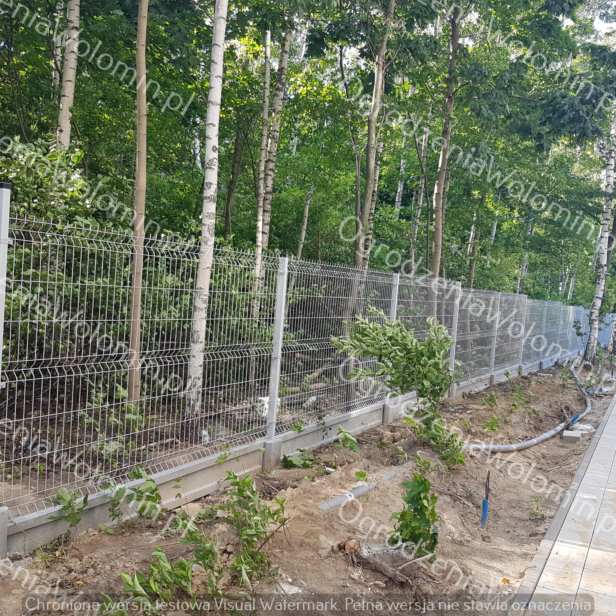 Nowo zamontowane ogrodzenie panelowe z podmurówką betonową na tle drzew, widoczne młode rośliny i rury w ziemi.