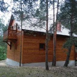 Drewniany domek letniskowy z balkonem, wykończony na zewnątrz poziomymi deskami, z szarym dachem, otoczony sosnami.