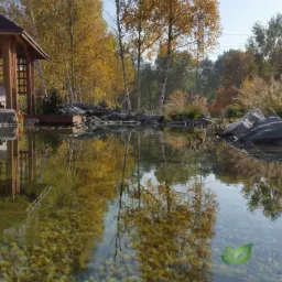 Oczko wodne z kamieniami i roślinami ozdobnymi, altana z meblami ogrodowymi w tle, odbicie drzew w wodzie, dno oczka wyłożone kamieniami.