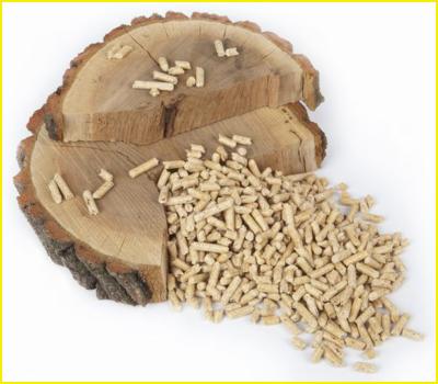 Jasne pellety drzewne ułożone na dwóch przekrojach pnia drzewa z widocznymi słojami. Naturalne oświetlenie, białe tło.