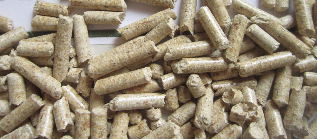 Jasne, cylindryczne granulki pelletu drzewnego, ułożone blisko siebie. Widoczne drobne włókna drewna i nierówności na powierzchni pelletu. Makro.