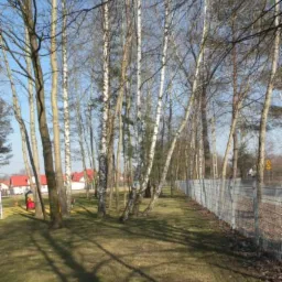 Metalowe ogrodzenie panelowe wzdłuż ścieżki z drzewami brzozowymi, w tle zabudowa jednorodzinna z czerwonymi dachami, wiosenny krajobraz.